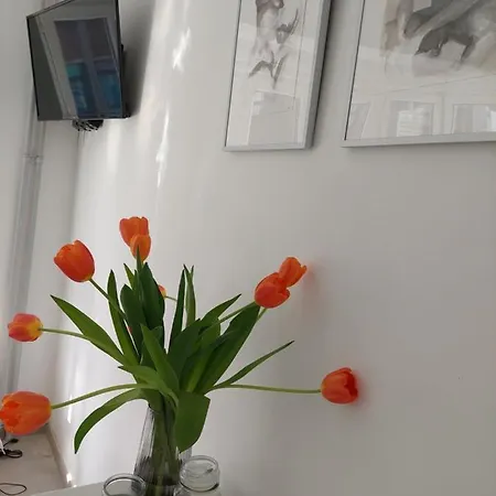Apartment Chez Koen Ostend