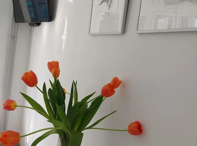 Appartement Chez Koen Oostende